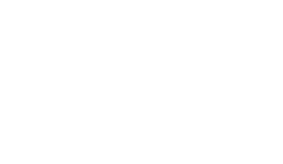 CEES AREA Official Logo (White)